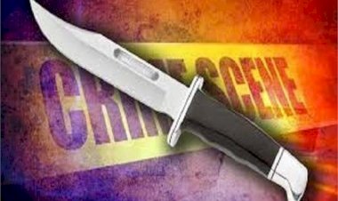 सीधी में मेरठ के 'नीले ड्रम' जैसा कांड, गैर पुरुष के लिए पति को घोपे चाकू, फिर चढ़ा दिया लोडर वाहन