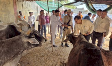 निर्माणाधीन कान्हा गौशाला का निरीक्षण: 7 दिन में गोवंशों को स्थानांतरित करने के निर्देश
