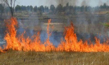 नरवाई जलाने वाले किसानों को नहीं मिलेगा सरकारी लाभ, 1 मई से लागू होंगे सख्त नियम
