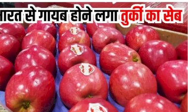 पाकिस्तान का साथ देने वाले तुर्की का बॉयकॉट, भारतीय बोले- न उनके सेब खाएंगे, न घूमने जाएंगे