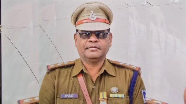 उज्जैन में मधुमक्खियों का भयानक हमला, पुलिसकर्मियों पर टूट पड़ीं, इंस्पेक्टर की मौत, कई घायल
