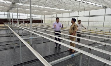 जनपद को मिली हाईटेक नर्सरी की सौगात, सितंबर से शुरू होगा उत्पादन - किसानों को मिलेंगे प्रमाणिक, उन्नतशील पौधे