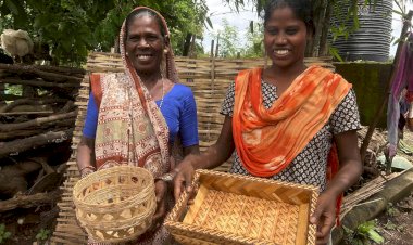 जंगल से जगमगाहट तक: जसोदाबेन ने बांस की कला से बदली कोटवालिया समाज की तकदीर"