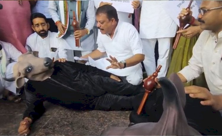 उमंग सिंघार ने भैंस के आगे बीन बजाकर किया सरकार का विरोध,सरकार पर मुद्दों की अनसुनी का आरोप, कांग्रेस का प्रतीकात्मक प्रदर्शन बना चर्चा का विषय