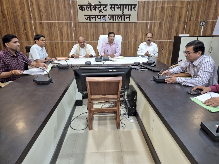 गौवंश संरक्षण को लेकर कलेक्ट्रेट सभागार में हुई महत्वपूर्ण बैठक, व्यवस्थाएं रहें दुरुस्त, गौशालाएं बनें आत्मनिर्भर: राजेश सिंह सेंगर
