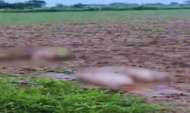 दो बोरियों में मिली महिला की आधा कटीलाश, सिर-हाथ-पैर लापता, हत्या की गुत्थी सुलझाने में जुटी पुलिस