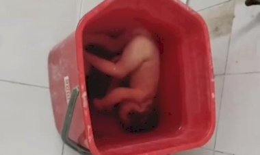 मानवता शर्मसार: उरई अस्पताल के डस्टबिन में मिला नवजात का शव ,सुरक्षा व्यवस्था पर उठे सवाल