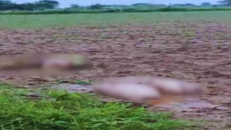 दो बोरियों में मिली महिला की आधा कटीलाश, सिर-हाथ-पैर लापता, हत्या की गुत्थी सुलझाने में जुटी पुलिस