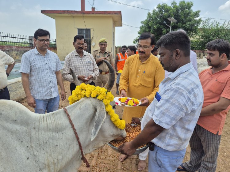 गौ आश्रय स्थलों में गूँजे भजन-कीर्तन, जिलाधिकारी ने किया गौ माता का पूजन।   संस्कृति और आस्था का संगम: जन्माष्टमी पर गौ-सेवा का संदेश