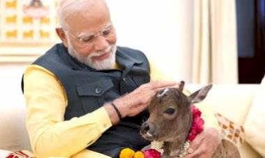 एनिमल लवर्स पर PM मोदी का तंज :  'वो लोग गाय को जानवर नहीं मानते,SC ने डॉग लवर्स के पक्ष में फैसला सुनाया था