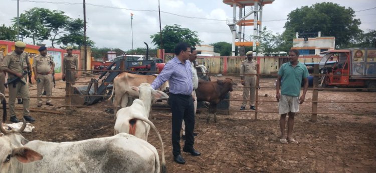 चमारी गौशाला  का औचक निरीक्षण कर डीएम ने दिखायी नाराजगी लापरवाह अफसर-कर्मचारियों पर की कार्यवाही