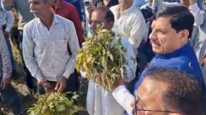 पुलिस की अव्यवस्था पर भड़के सीएम मोहन यादव,आपसे नहीं हो रहा तो छोड़ो फिर,किसानों को दिया मदद का भरोसा