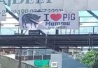 I LOVE PIG, पोस्टर से मचा बवाल, सड़क पर उतरा मुस्लिम समाज :कलेक्टर चौराहे के पास लगा पोस्टर बना चर्चा का विषय, पुलिस कर रही जांच