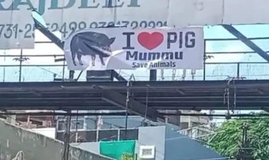 I LOVE PIG, पोस्टर से मचा बवाल, सड़क पर उतरा मुस्लिम समाज :कलेक्टर चौराहे के पास लगा पोस्टर बना चर्चा का विषय, पुलिस कर रही जांच