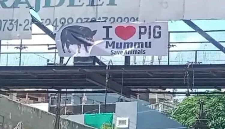 I LOVE PIG, पोस्टर से मचा बवाल, सड़क पर उतरा मुस्लिम समाज :कलेक्टर चौराहे के पास लगा पोस्टर बना चर्चा का विषय, पुलिस कर रही जांच