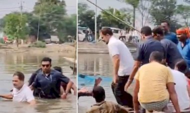 राहुल गांधी ने तालाब में लगाई छलांग- ग्रामीणों के साथ तालाब में उतरकर मछली पकड़ने की पारंपरिक प्रक्रिया में हिस्सा लिया.