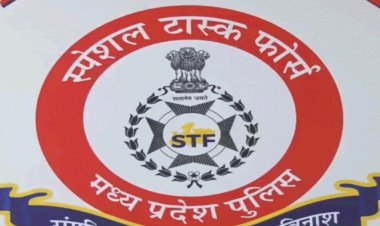 बड़ा फर्जीवाड़ा ! मप्र एसटीएफ की ग्वालियर में कार्रवाई:डीएड की फर्जी डिग्री से नौकरी पाने वाले 34 शिक्षकों पर केस