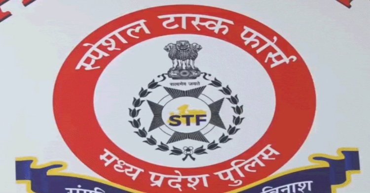 बड़ा फर्जीवाड़ा ! मप्र एसटीएफ की ग्वालियर में कार्रवाई:डीएड की फर्जी डिग्री से नौकरी पाने वाले 34 शिक्षकों पर केस