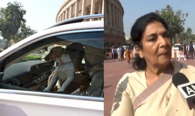 संसद परिसर में कार में पालतू कुत्ता लेकर पहुंचीं रेणुका चौधरी, बोलीं- ये काटता नहीं, काटने वाले संसद ; भाजपा ने आपत्ति जताई