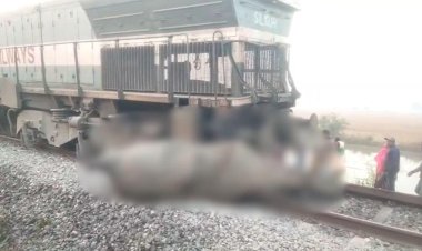 राजधानी एक्सप्रेस से टकराया हाथियों का झुंड, 8 की मौत; 5 डिब्बे और इंजन पटरी से उतरे,असम में बड़ा ट्रेन हादसा