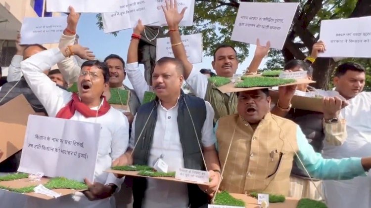 MP विधानसभा में बच्चोंं की मौत और किसानों को लेकर कांग्रेस का हंगामा: हाथों में खेत का मॉडल और चिड़िया के पुतले लेकर पहुंचे कांग्रेस विधायक