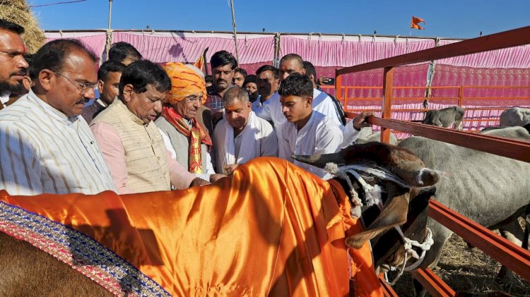 दास्ताखेड़ी में नवनिर्मित नंदी गौशाला का लोकार्पण: आष्टा विधायक गोपालसिंह इंजीनियर ने किया पूजन