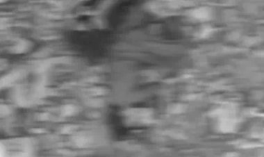 शिप्रा नदी में मिले युवक-युवती के शव, प्रेम-प्रसंग की आशंका; पुलिस जांच में जुटी