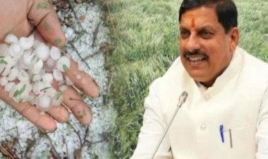 CM मोहन यादव ने अधिकारियों को सर्वे के दिए निर्देश,किसानों की मेहनत बर्बाद, बेमौसम बारिश और ओलों ने चौपट की फसल