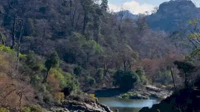 भोपाल में नए साल पर युवती से जंगल में दुष्कर्म, केरवा डैम घुमाने का कहकर ले गया प्रॉपर्टी डीलर, डरा-धमकाकर की ज्यादती