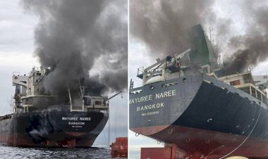 होर्मुज स्ट्रेट में भारत आ रहे कार्गो शिप पर हमला: विदेश मंत्रालय ने जताई चिंता, स्थिति पर रखी नजर