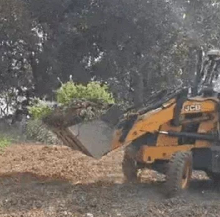 भाजपा नेता की अफीम की खेती पर चला बुलडोजर,पार्टी ने किया निलंबित,  रिकेश सेन का पलटवार—बीज बोते वक्त कहां थी भूपेश सरकार?