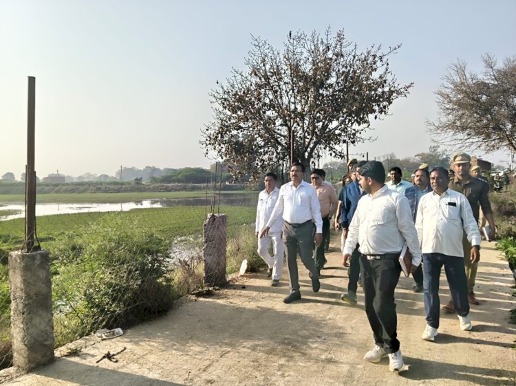 ग्राम मुहम्मदाबाद में विकास कार्यों को परखा,सुंदरता, और पर्यावरण संतुलन के लिए अधिक पौधा लगाएं।राजेश पाण्डेय