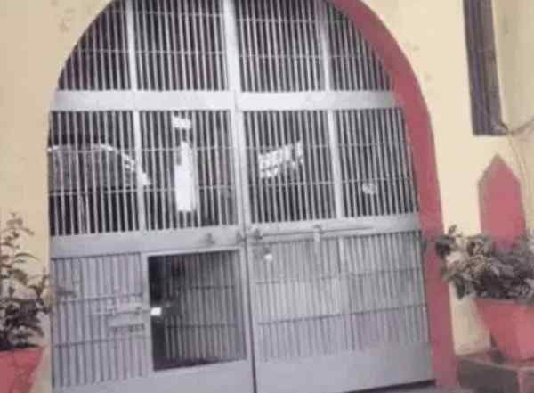 भोपाल सेंट्रल जेल में सनसनी: आजीवन कारावास काट रहे बंदी ने फांसी लगाकर दी जान, जांच में जुटा प्रशासन