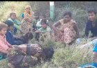 बुन्देलखंड एक्सप्रेसवे पर भीषण सड़क हादसा: एक की मौत, एक दर्जन से अधिक घायल, राहत-बचाव में जुटा प्रशासन